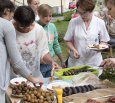 <p>Piknik Świętojański - 23.06.2017 r.</p>